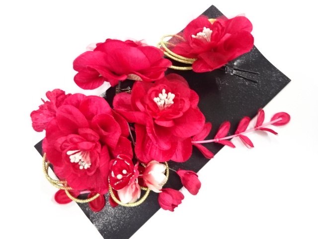 Japanese Kimono / Others (Bolt etc)